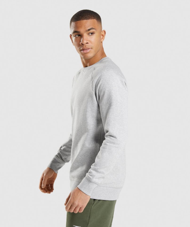 Men's Gymshark Crest Sweatshirts Light Grey | CA A63178